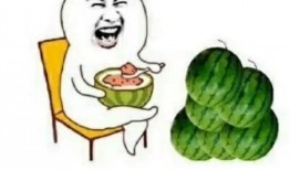 吃瓜娱乐图片头像可爱,可爱吃瓜头像带你领略趣味生活