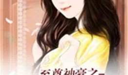 娱乐吃瓜酱言情小说