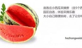 娱乐吃瓜固定模版如何做,揭秘明星幕后故事，带你领略明星们的真实生活