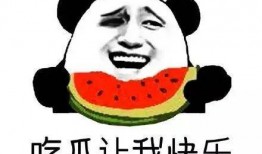 吃瓜群众是什么,网络时代的旁观者与评论家