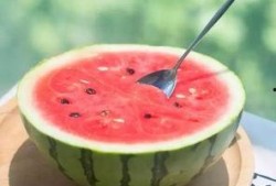 娱乐吃瓜固定模版如何做,揭秘明星幕后故事，带你领略明星们的真实生活