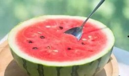 娱乐吃瓜固定模版如何做,揭秘明星幕后故事，带你领略明星们的真实生活