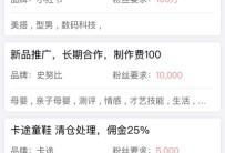 网红直播久久91,揭秘网红久久91的崛起之路