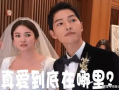 最近吃瓜大事件娱乐圈,揭秘近期热门吃瓜事件背后的真相