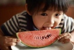 娱乐吃瓜酱一年级