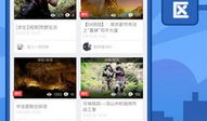 5x在线视频,科技与生活的完美融合