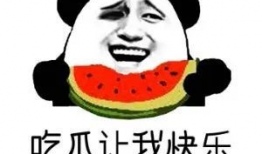 吃瓜爆料总群啥意思,网络舆论场中的神秘力量