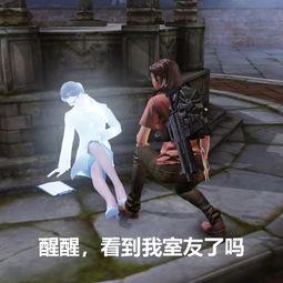 娱乐圈吃瓜游戏视频下载