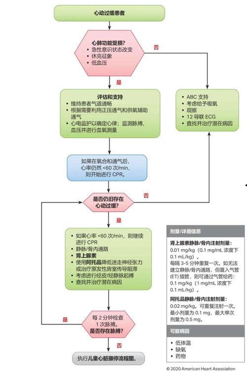 心肺复苏操作流程视频,关键步骤与要点解析