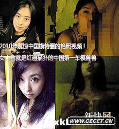 兽兽 不雅视频,揭秘娱乐圈的道德沦丧与网络暴力的双重阴影