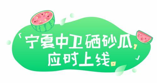 同学吃瓜大爆料文案图片,揭秘校园那些不为人知的秘密