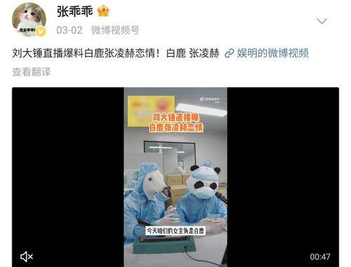 吃瓜直播爆料白鹿张凌赫,吃瓜直播揭露甜蜜瞬间