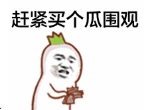 吃瓜群众爆料主播视频